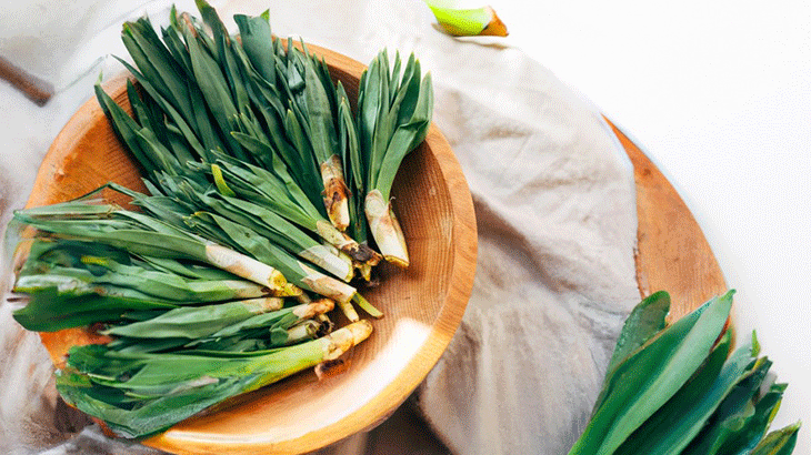 Anadolu’nun Şifa Hazinesi: Çiriş Otu Avrupa’nın Radarında