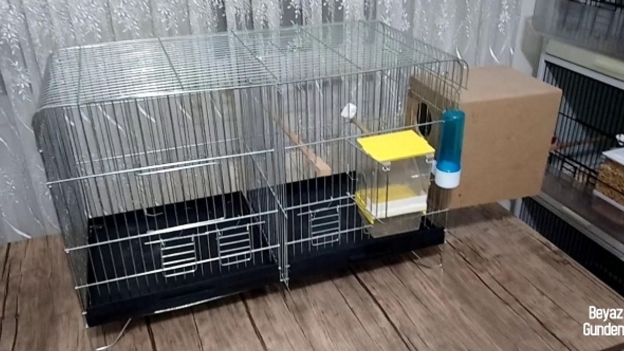 Kuş Ürünleri (Kafes, Sağlık/Bakım, Yem) Alırken Nelere Dikkat Etmeniz Gerek?