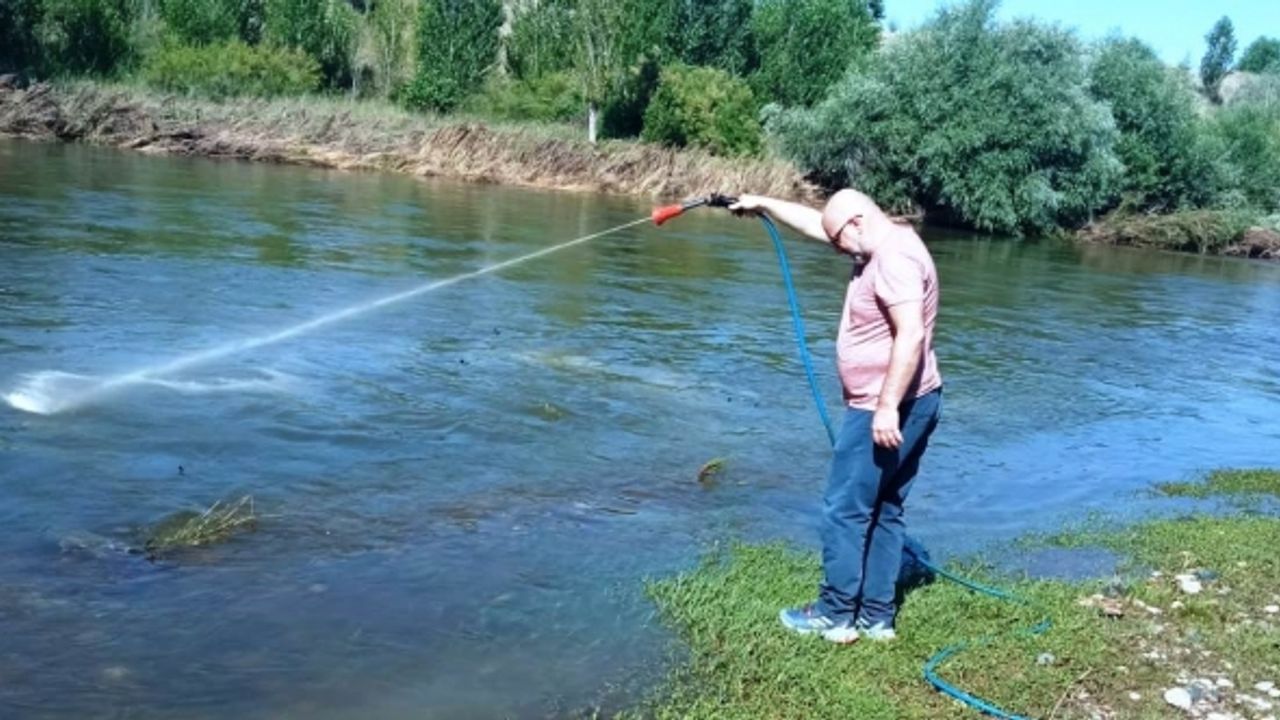 Kızılırmak’ta üvez sineği ile etkin mücadele devam ediyor