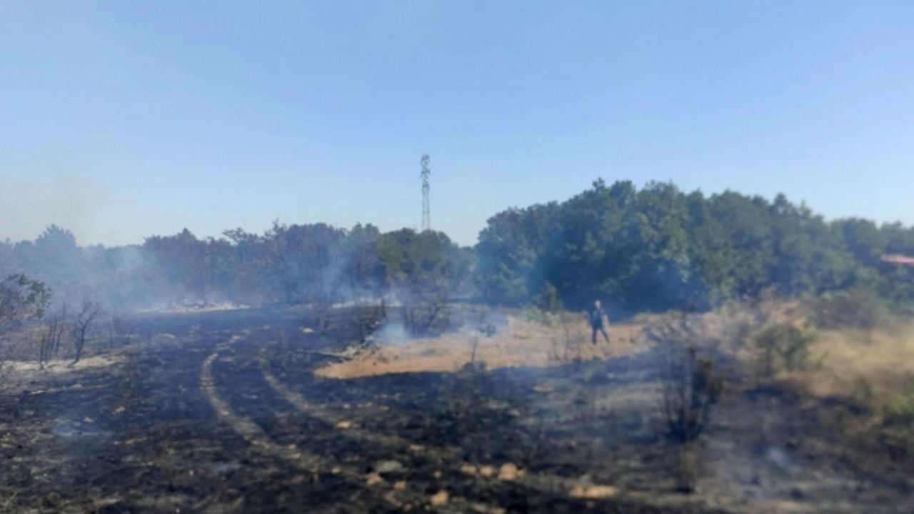 Biga’da ormanlık alanda çıkan yangın kontrol altına alındı
