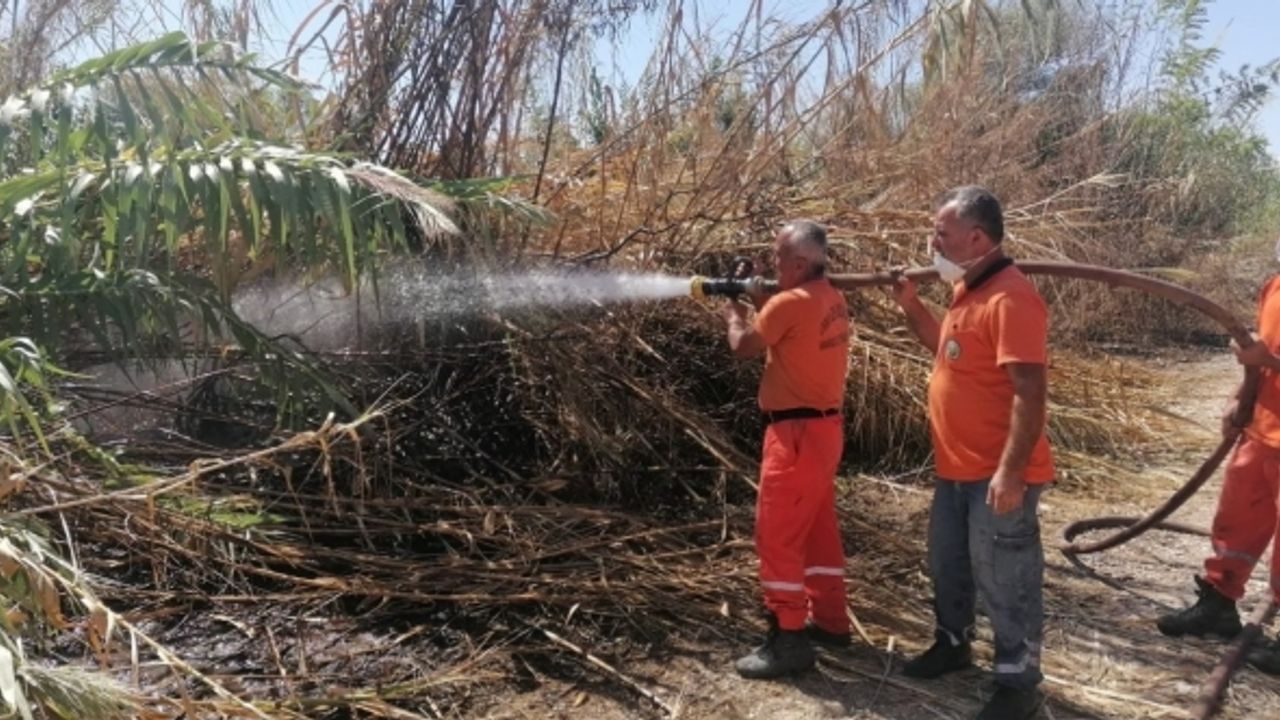 Antalya’da sazlık yangınına havadan ve karadan hızlı müdahale