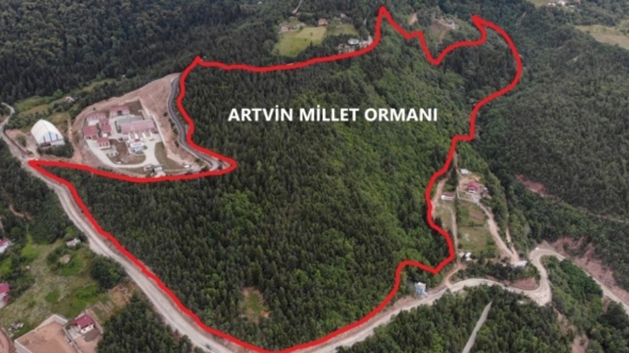 Artvin’e 10 Hektarlık alanda Millet Ormanı oluşturulacak