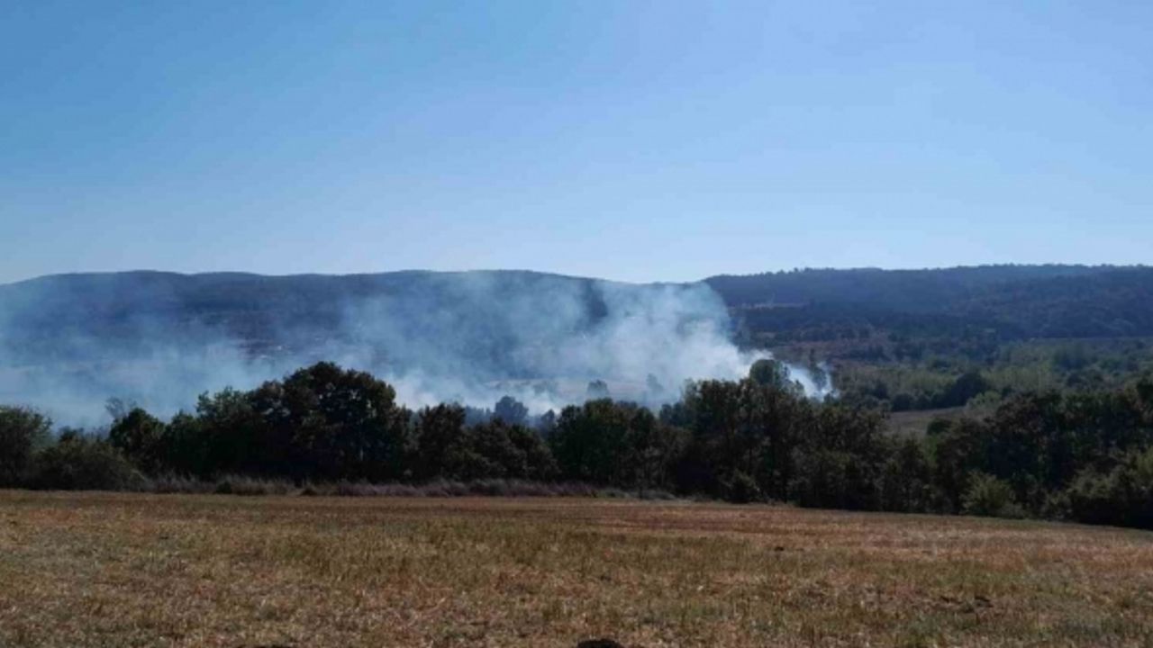 Bilecik’te çıkan yangında 40 dönümlük tarım arazisi zarar gördü