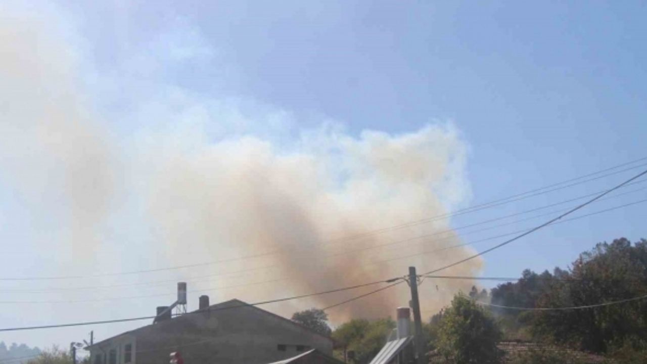 Bilecik’te otluk alanda çıkan yangın ormana sıçramadan söndürüldü