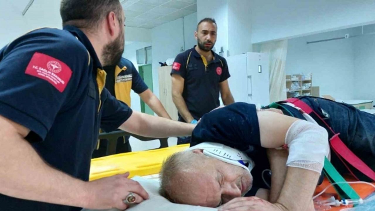 Çıktığı ağaçta 8 metre yükseklikten düşen öğretmen yaralandı