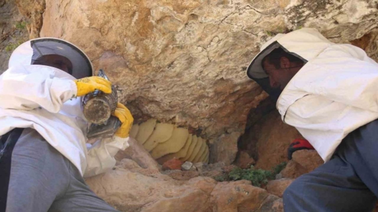 Cilo Dağı’nın 3 bin rakımında keşfettiği kaya balını 2 bin 500 TL’den satışa çıkarttı