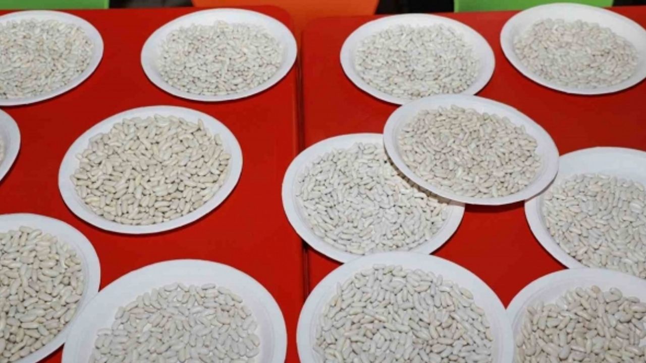 Coğrafi işaretli Yedisu horoz kuru fasulyesi festivali düzenlendi