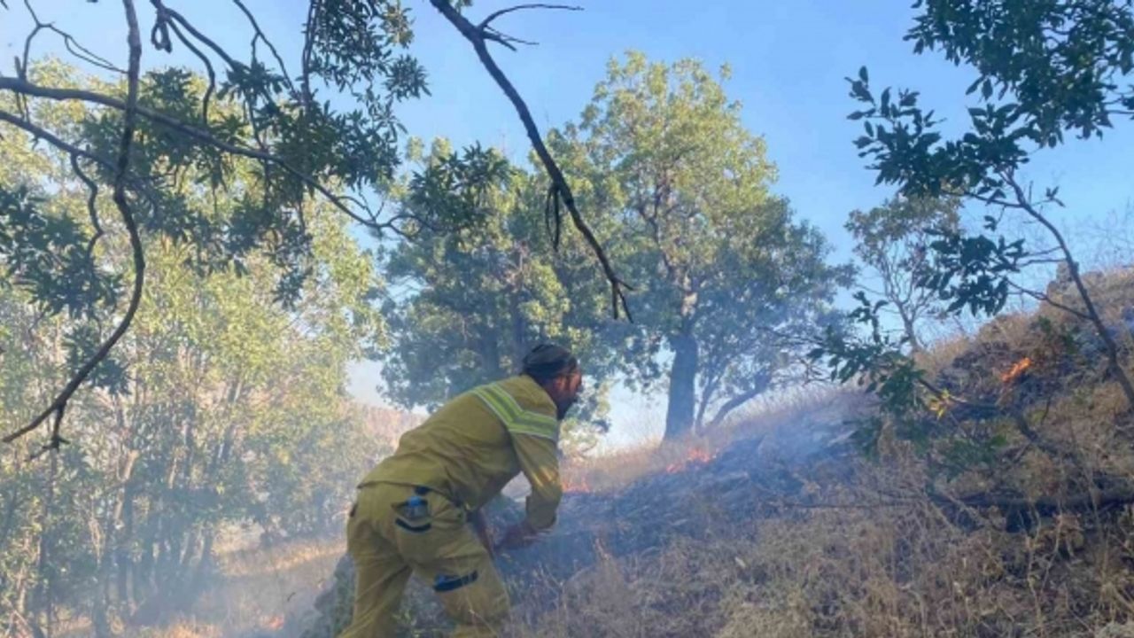 Cudi Dağı’nda çıkan yangın 7 saat sonra kontrol altına alındı