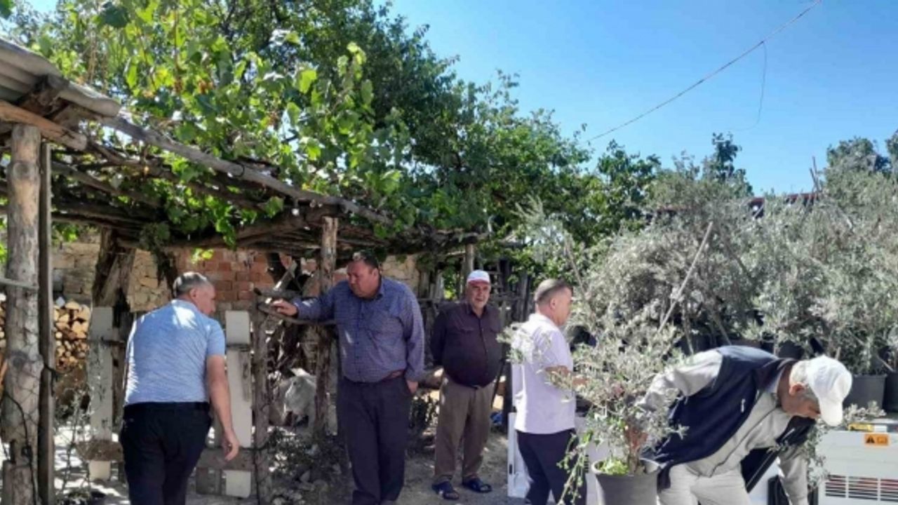 Edremit’ten, Çanakkale yangınında etkilenen köylere 250 zeytin fidanı gönderildi