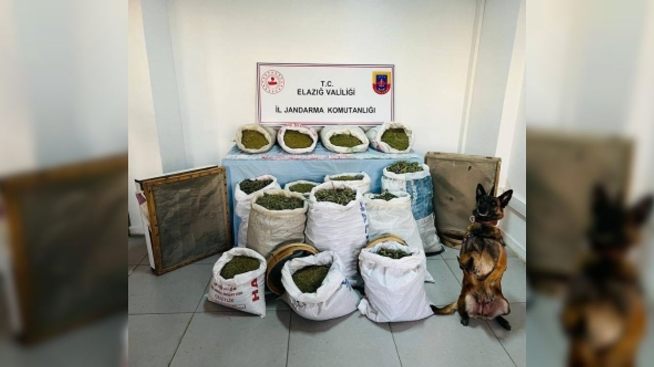 Elazığ’da 241 kilo esrar ele geçirildi: 2 tutuklama