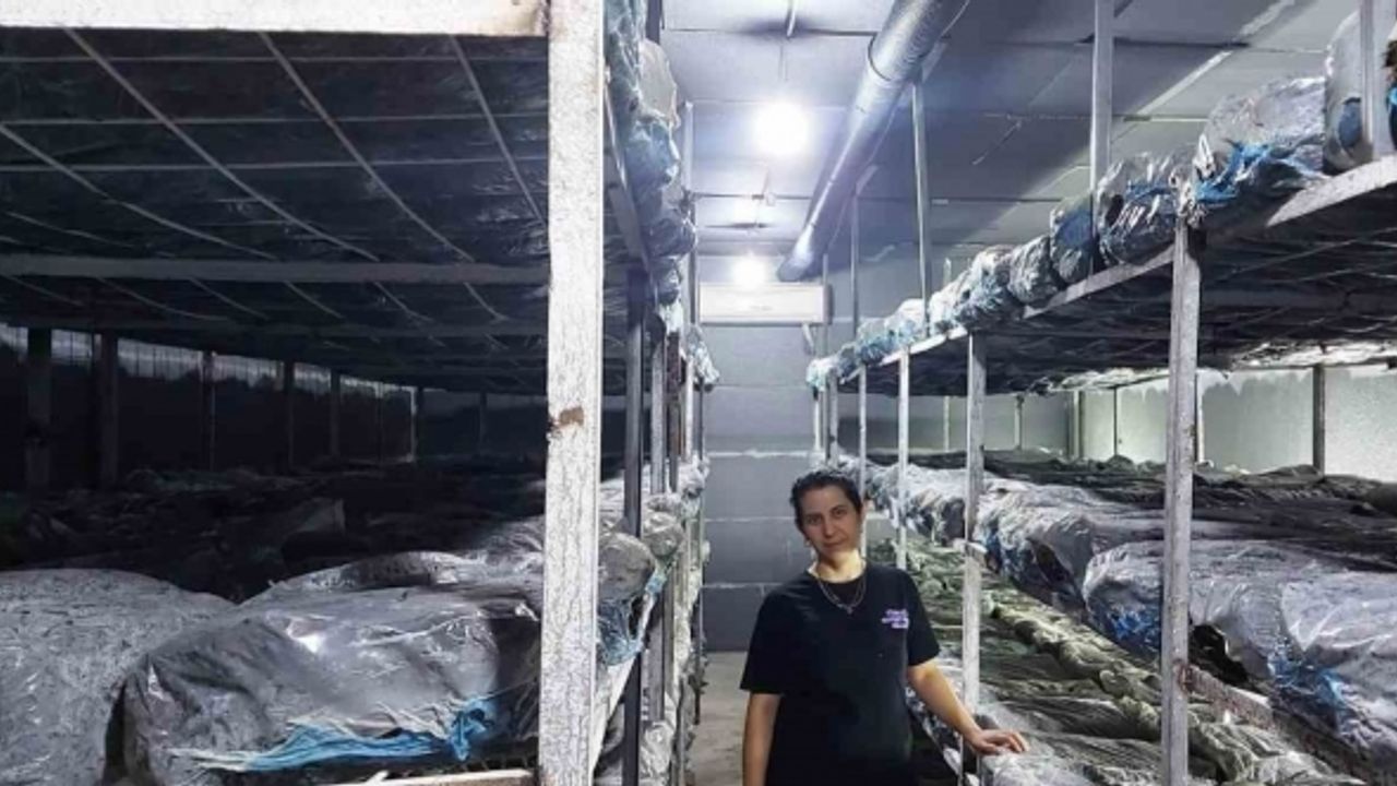 Emetli girişimci kadın kültür mantarı üretim tesisi kurdu