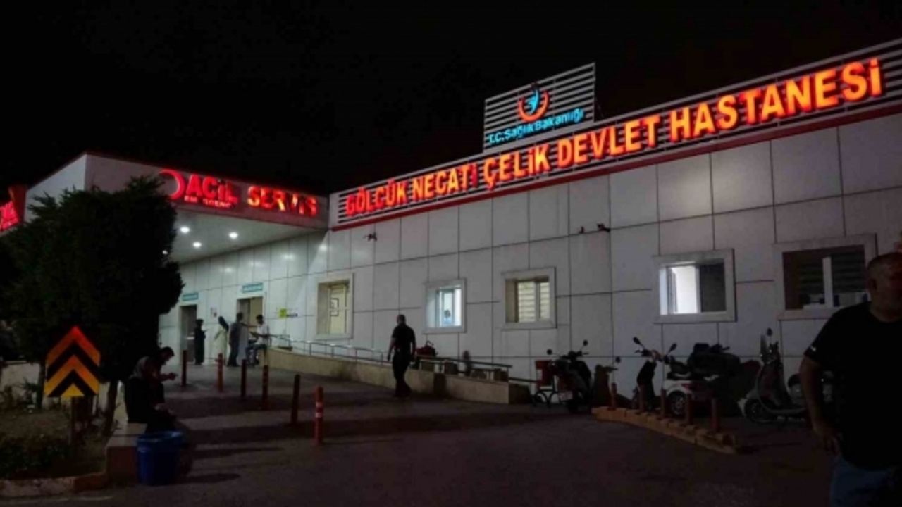 Hamsi yiyen 6 işçi zehirlenme şüphesiyle hastaneye kaldırıldı