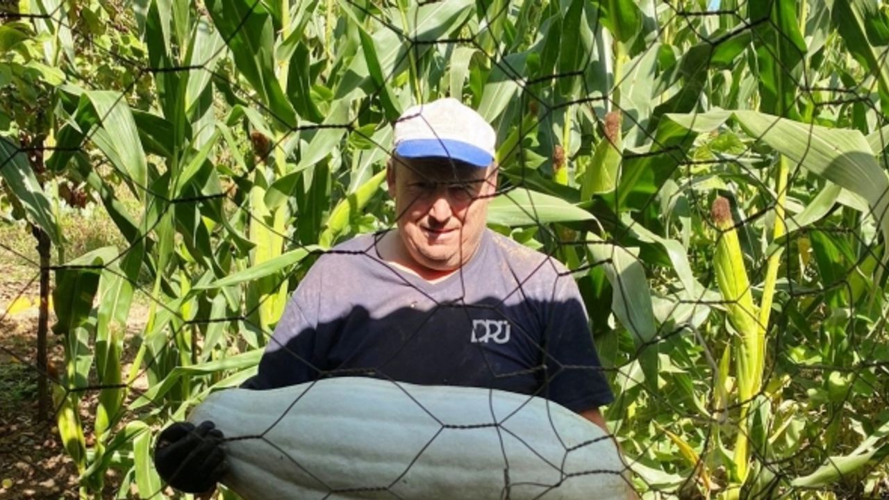 Hisarcık’lı çiftçi ata tohumundan 30 kilo gelen bal kabağı yetiştirdi