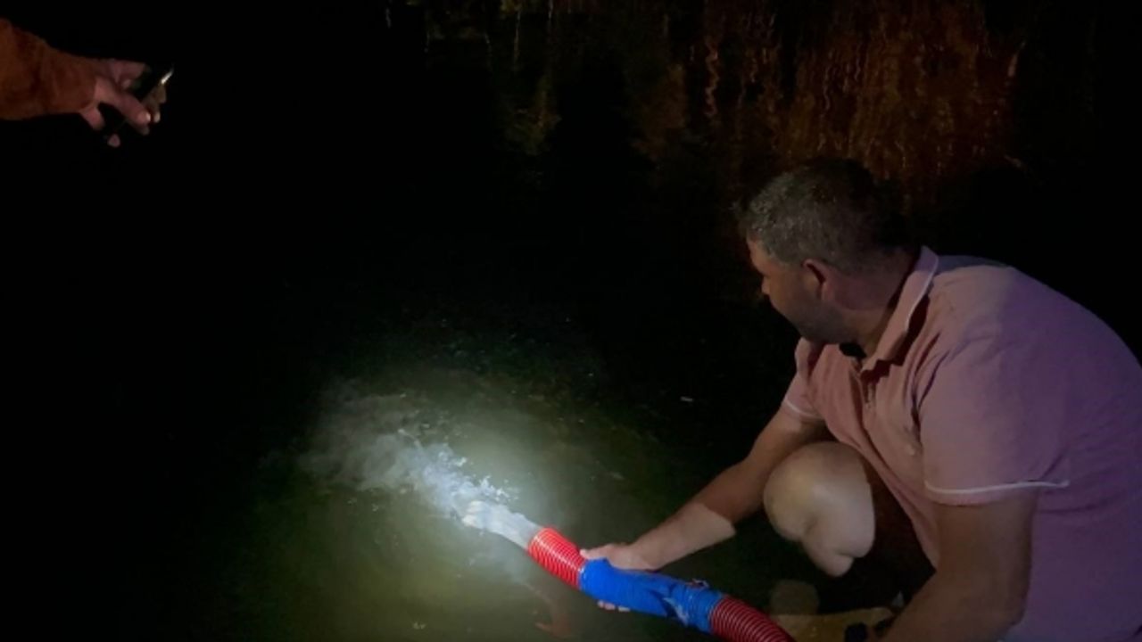 İznik Gölü’ne 2 milyon 200 bin sazan salındı