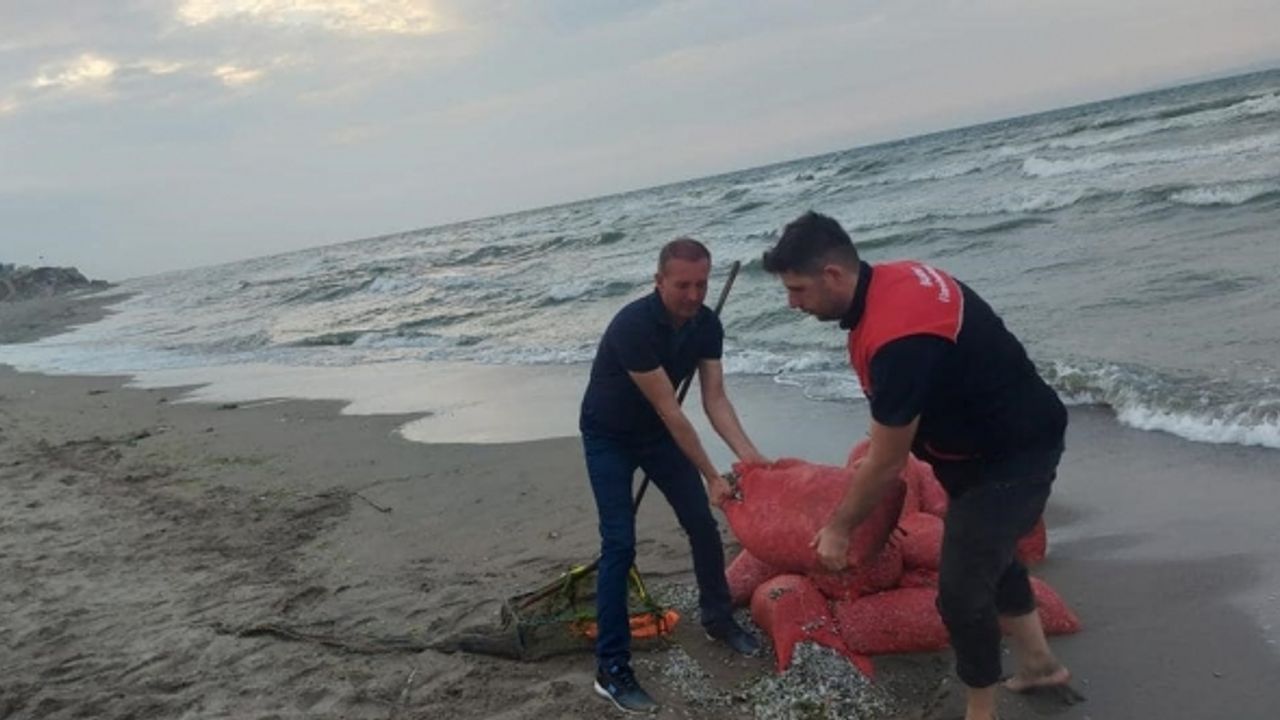 Kaçak avlanılan 5 bin 500 kilo kum şırlanı denize bırakıldı