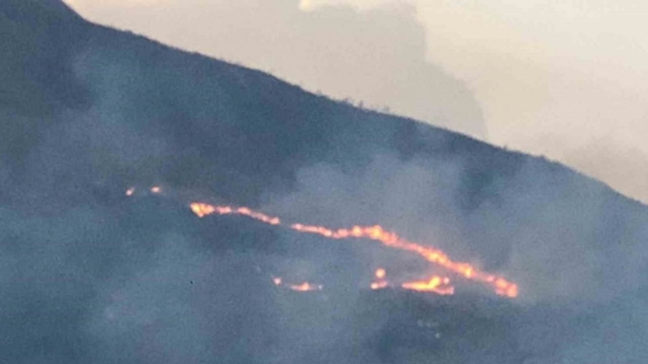 Kolombiya’da orman yangını: Alevler yerleşim yerlerine sıçradı