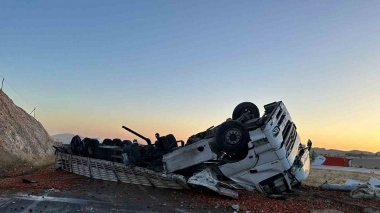 Kontrolden çıkan domates yüklü tır yol ortasına devrildi