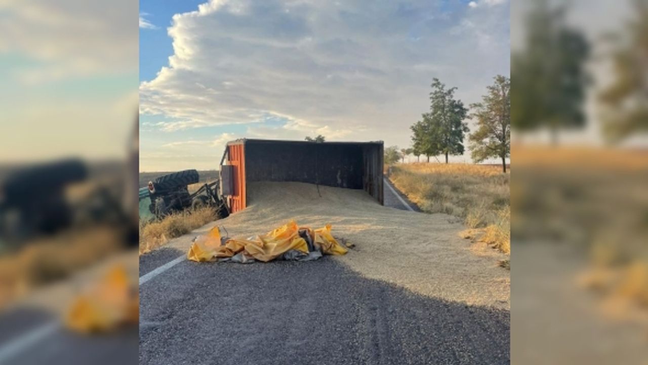 Konya’da traktör devrildi, römorktaki arpa yola saçıldı