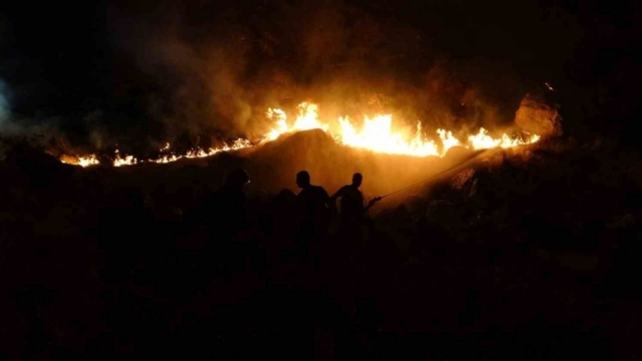 Malatya’daki dağlık alanda çıkan yangın kontrol altına alındı