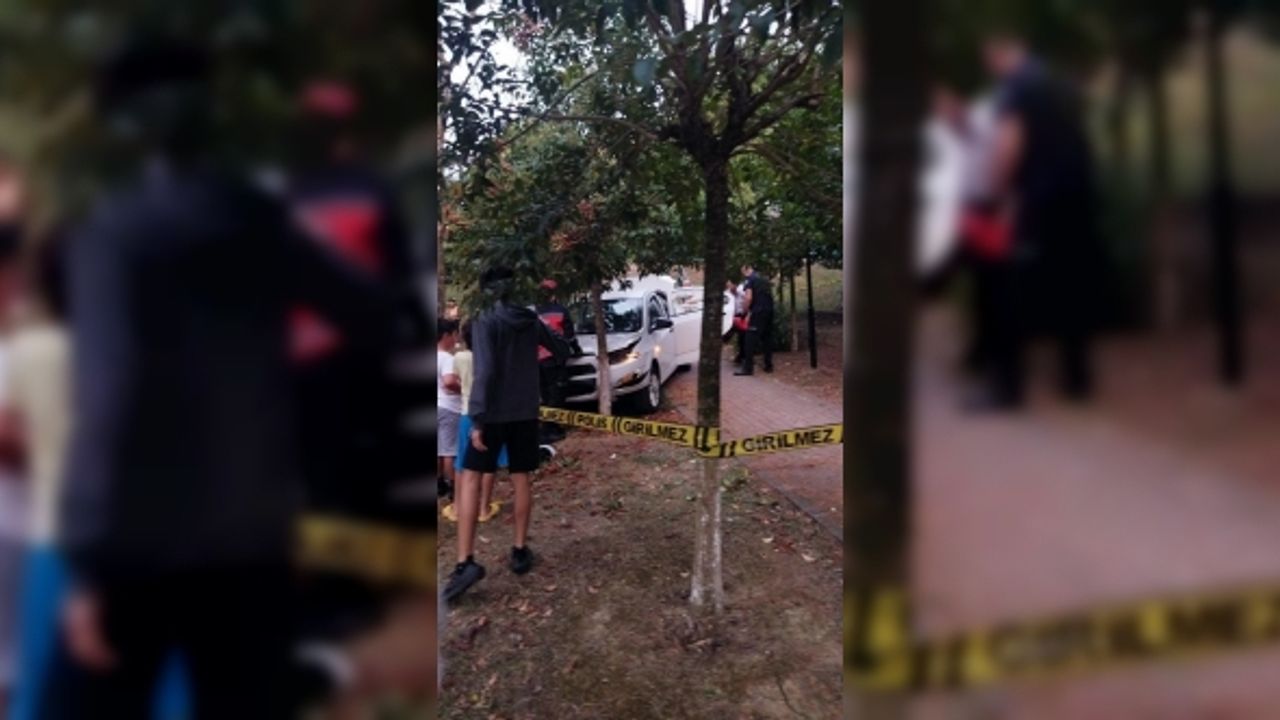 Merdivenlerden aşağı uçan otomobil ağaca çarptı: 2 yaralı