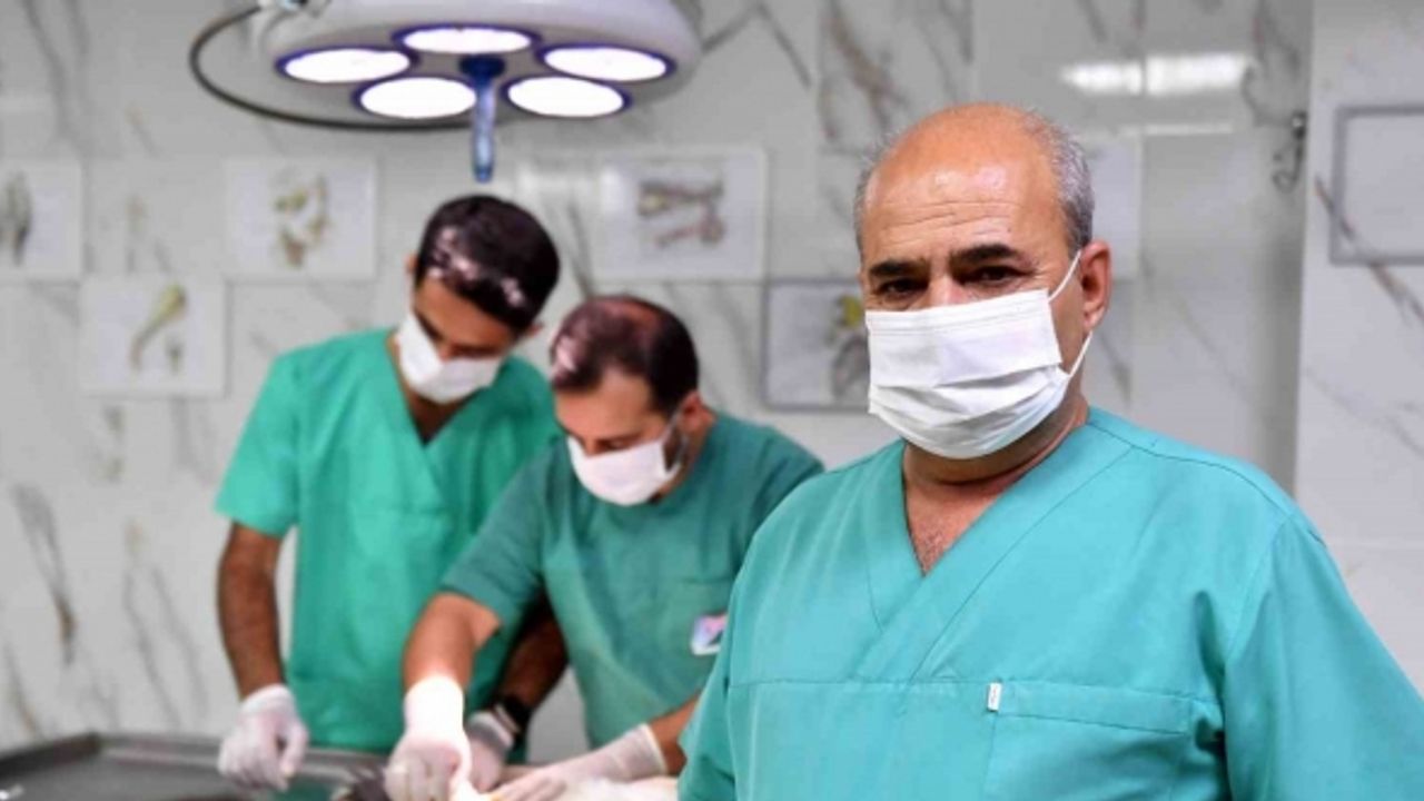 Mersin’de kontrolsüz üremenin önüne geçmek için sokak hayvanları kısırlaştırılıyor