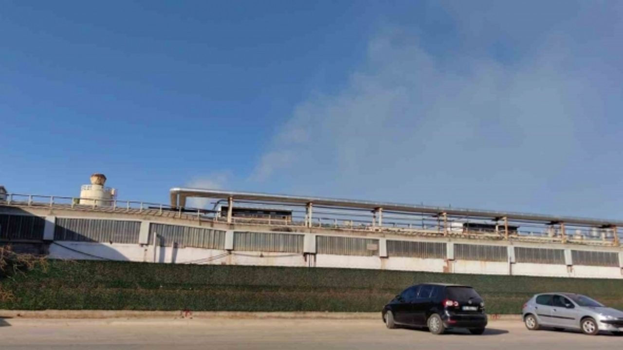 Orman ürünleri fabrikasında korkutan patlama: 1 yaralı