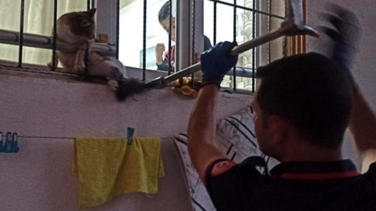 Pencere korkuluklarına sıkışan kediyi itfaiye ekipleri kurtardı