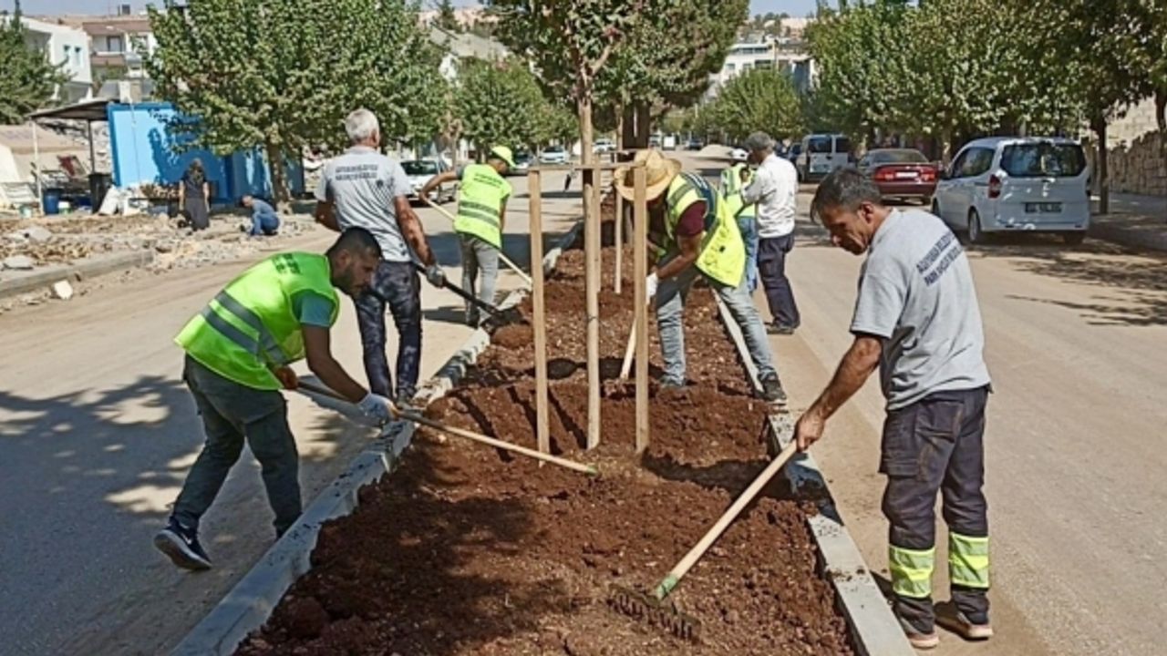 Refüj ve kavşakların bakım, onarım çalışmalarına devam ediyor