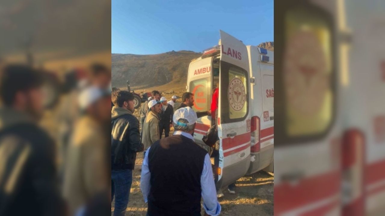 Şehitler anısına vefa yürüyüşü yapan gruba ayı saldırdı: 1 kişi yaralandı