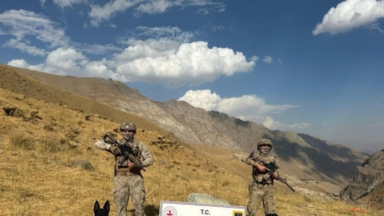 Şemdinli kırsalında 2 sığınakta silah ve mühimmat ele geçirildi