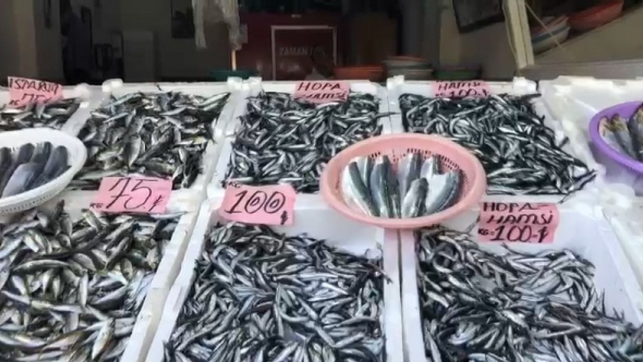 Sezonun ilk yerli hamsisi 100 TL’den tezgahtaki yerini aldı