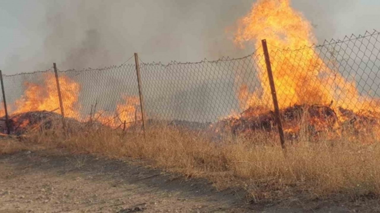 Siirt’te fıstık ve üzüm bahçesinde çıkan yangın söndürüldü
