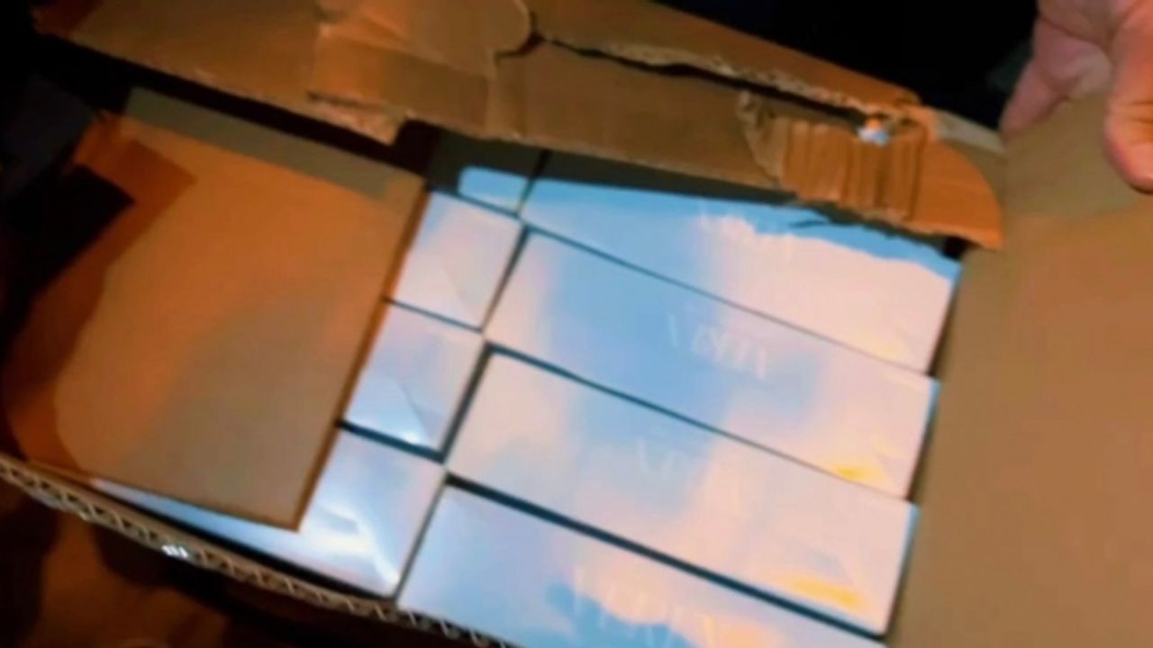 Sinop’ta 33 bin 100 makaran ele geçirildi: 1 gözaltı