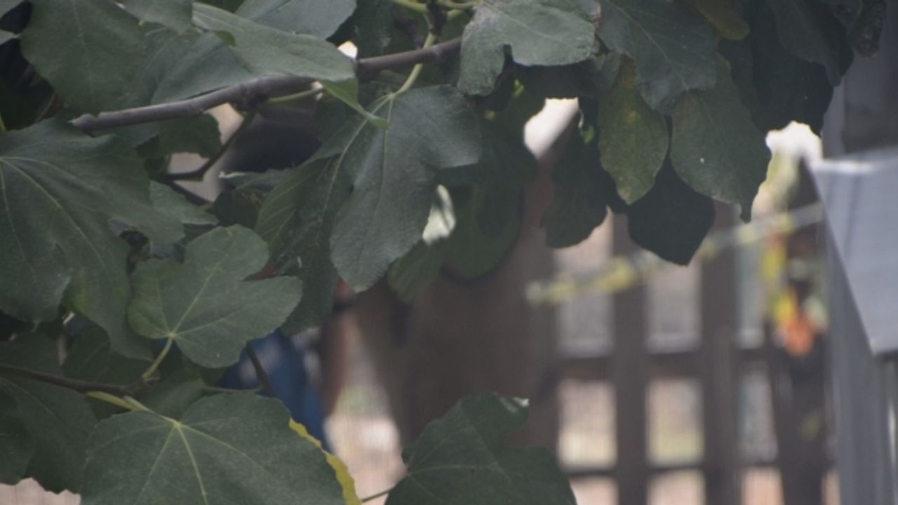 Sinop’ta psikolojik sorunları bulunan vatandaş kendini asarken kurtarıldı