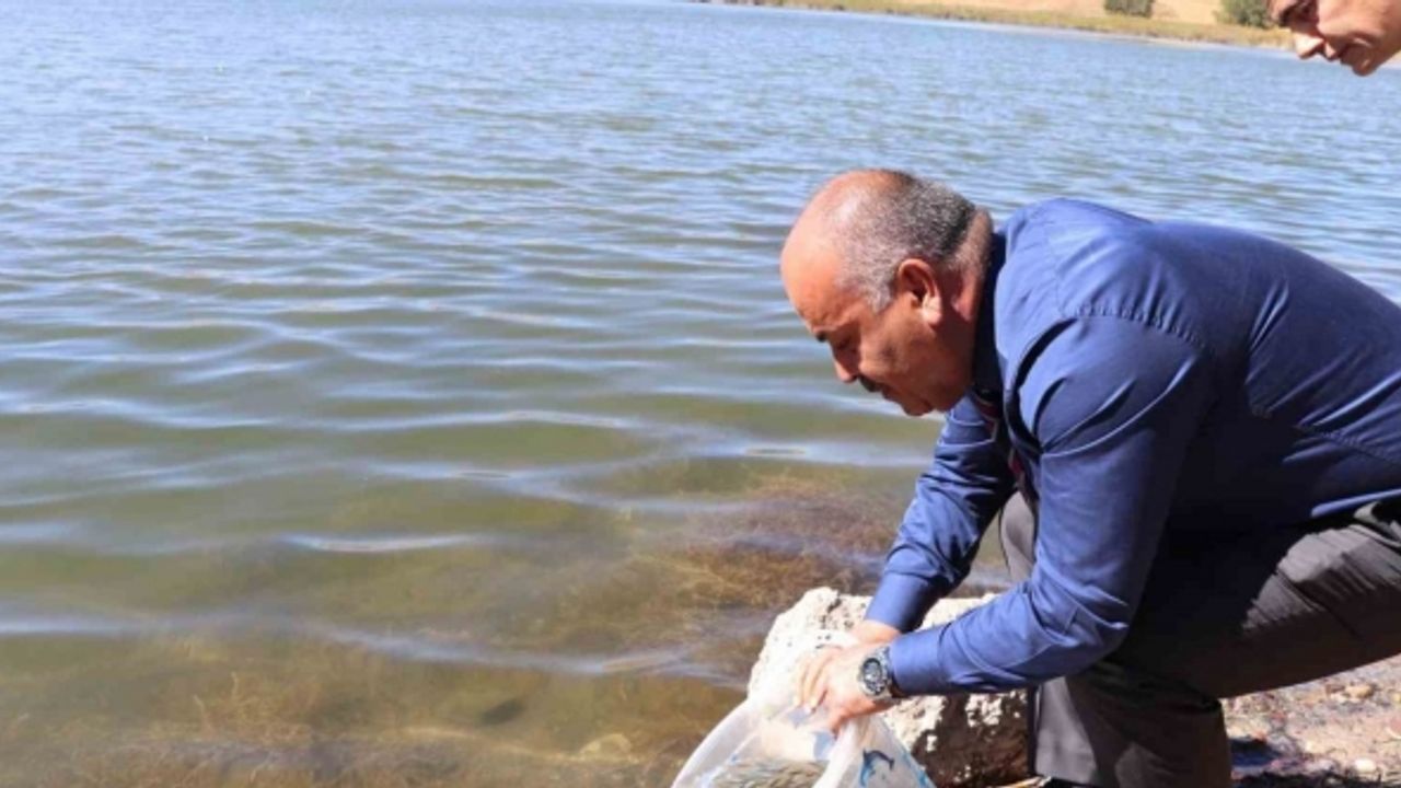 Sivas’ta 1 milyon adet yavru balık göllere bırakıldı