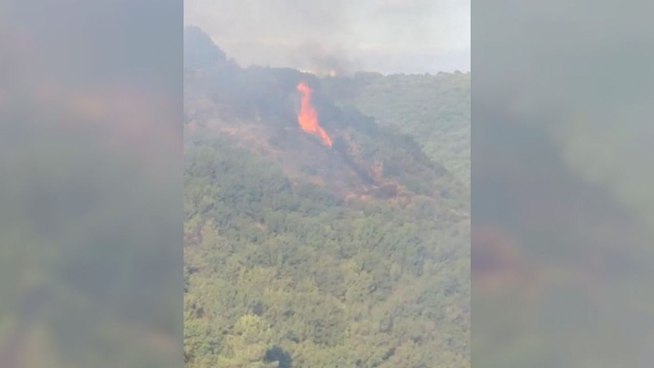 Sultangazi Kent Ormanı’nda yangın çıktı: Havadan müdahale ediliyor