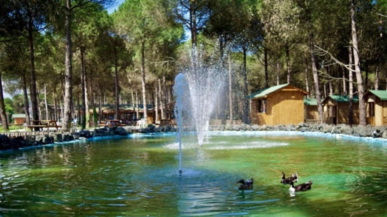 Tabiat harikası Çarşamba Orman Park hayran bırakıyor