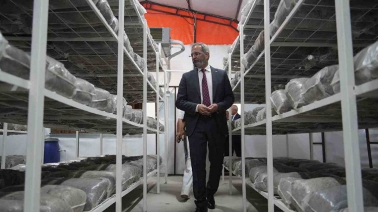 Tarsus’ta mantar üretim ile sebze ve meyve kurutma-paketleme tesisleri açıldı