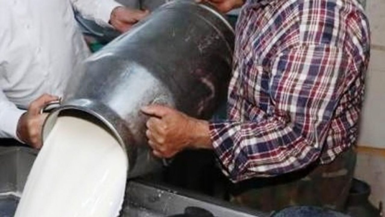 Ticari süt işletmelerince 835 bin 773 ton inek sütü toplandı