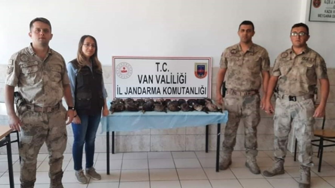 Van’da kaçak olarak yaban ördeği avlayanlara ceza