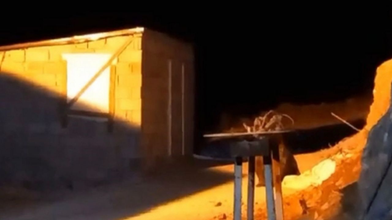 Yüksekova’da şantiyede yiyecek arayan 4 ayı kameralara yansıdı