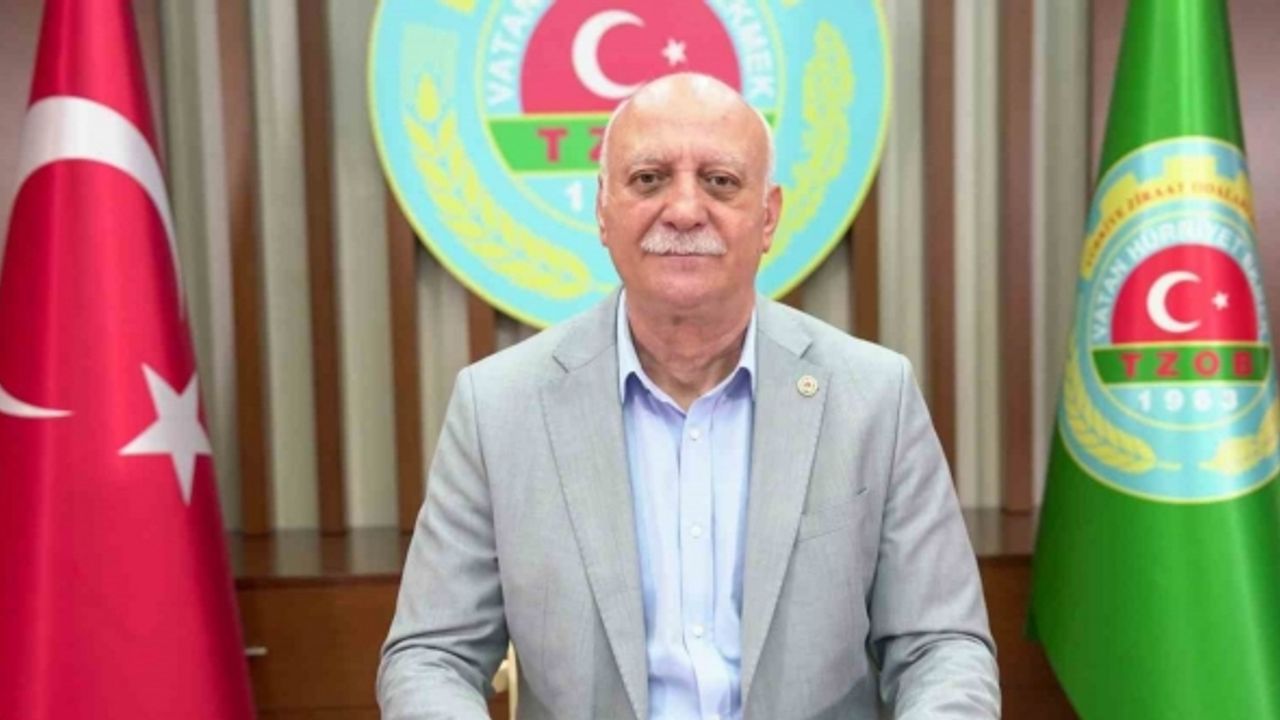 Zeytinyağı üreticide 168, markette 900 lira