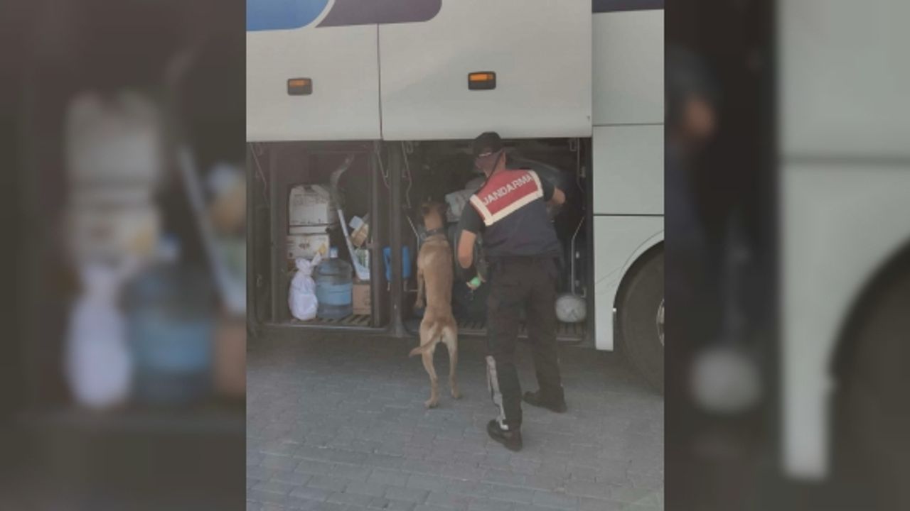 Aydın’da jandarma ekipleri düzensiz göçe geçit vermiyor