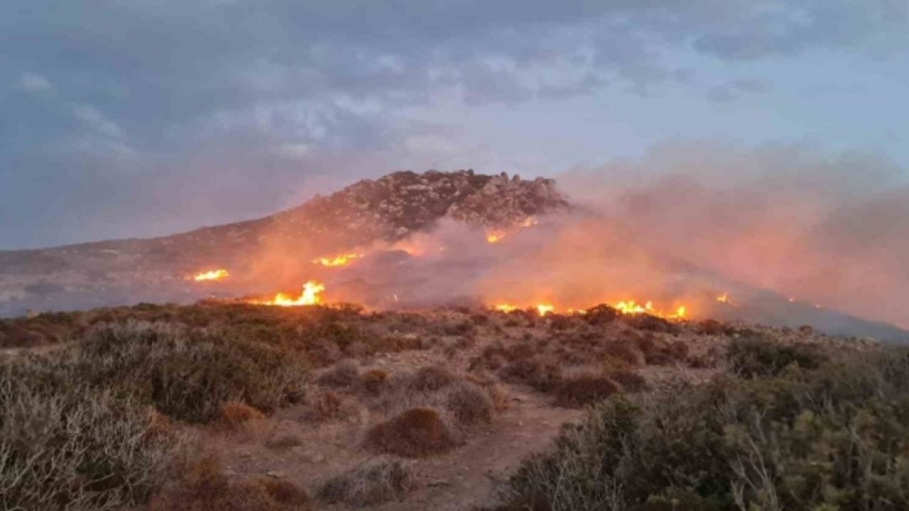 Bodrum’daki yangında 60 dönümlük alan zarar gördü