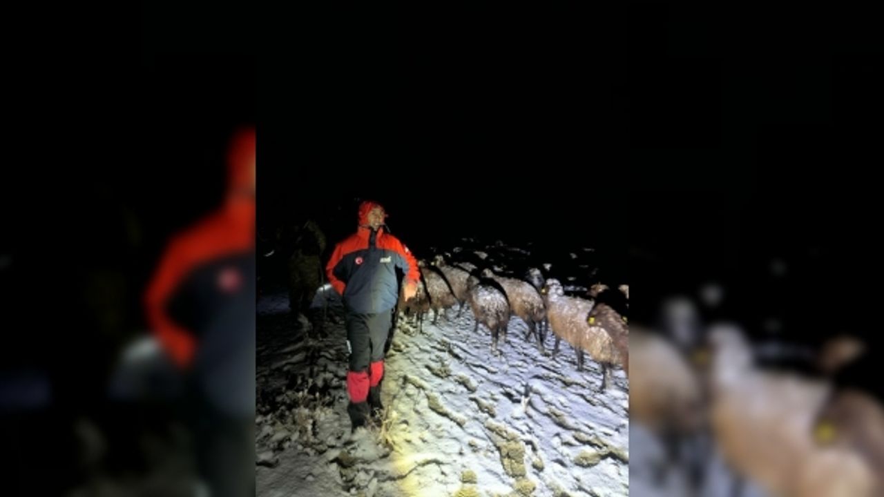 Ağrı’da mahsur kalan 3 çoban ve 3 bin koyun kurtarıldı