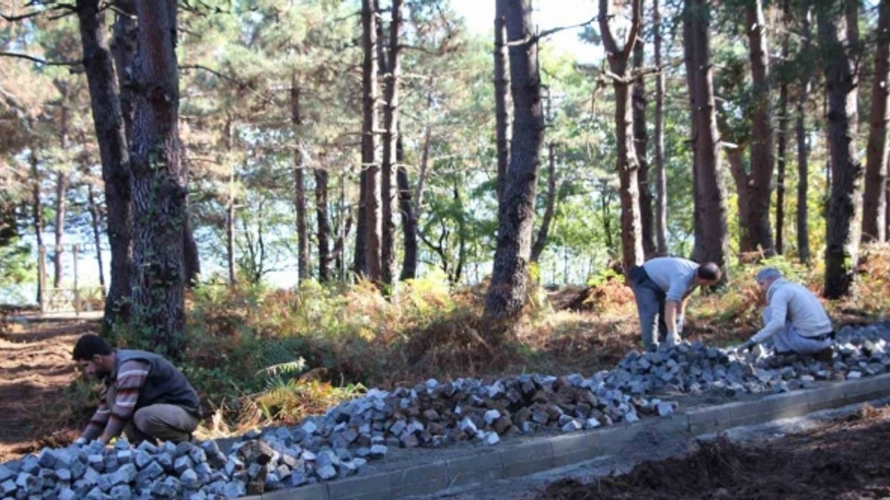 Çöp tesisi olacaktı, kent ormanı oluyor