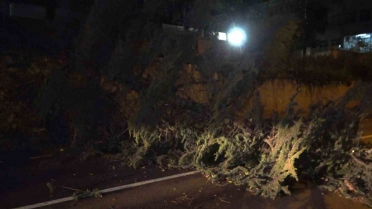 Fırtına Bursa’yı yıktı geçti...Otobüsün üzerine uçan çatı 2 yolcuyu yaraladı