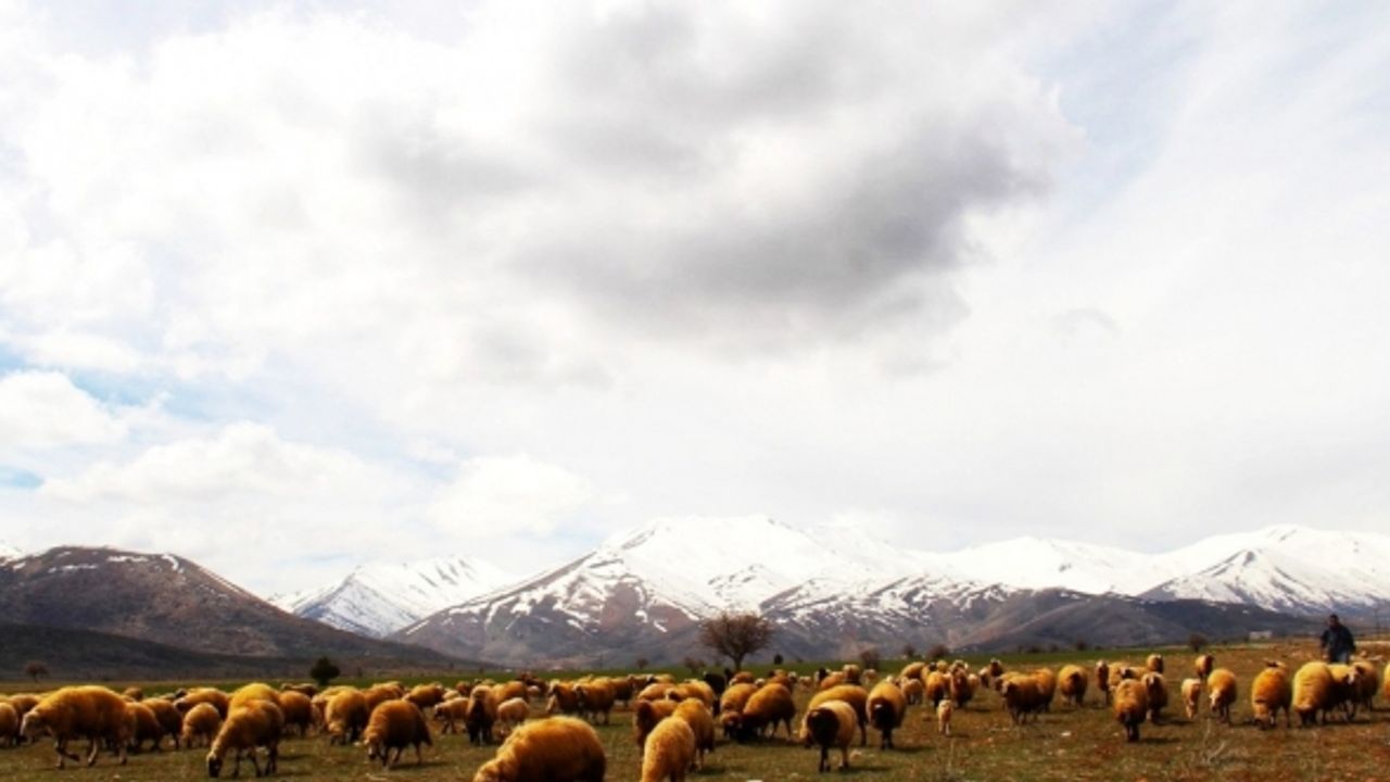 Kahramanmaraş’a yılın ilk karı yağdı, kartpostallık görüntüler oluştu