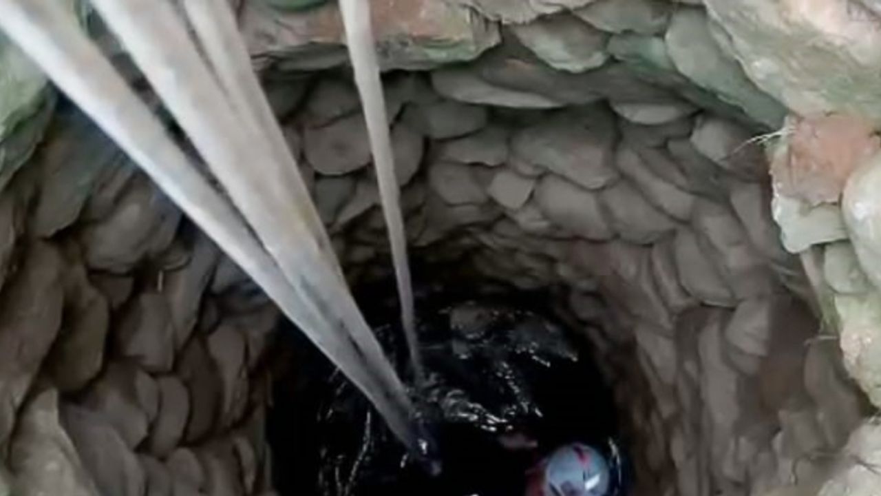 Kuyuya düşen kurt köpeği ekiplerin çalışması sonucu kurtarıldı