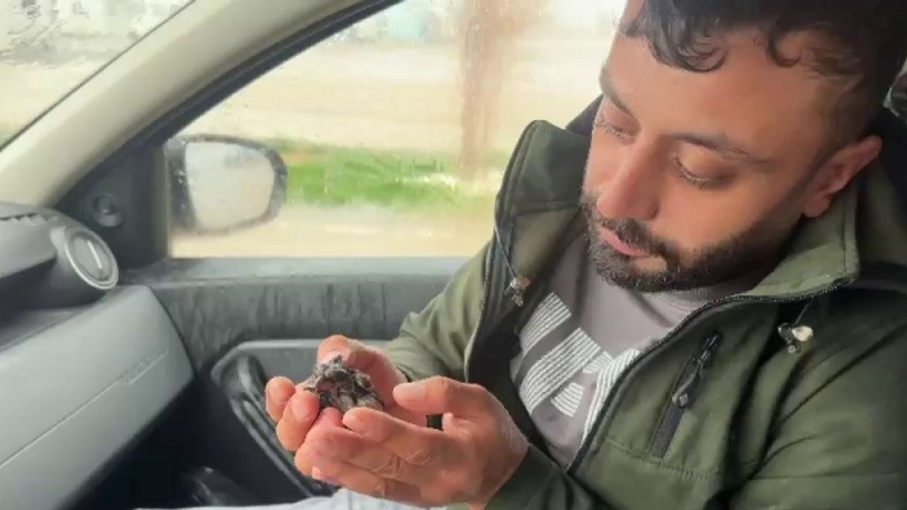 Sel sularında çırpınan serçeyi habere giden gazeteci kurtardı